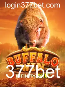BuffaloWin: Um Guia Completo para Entusiastas de Cassinos