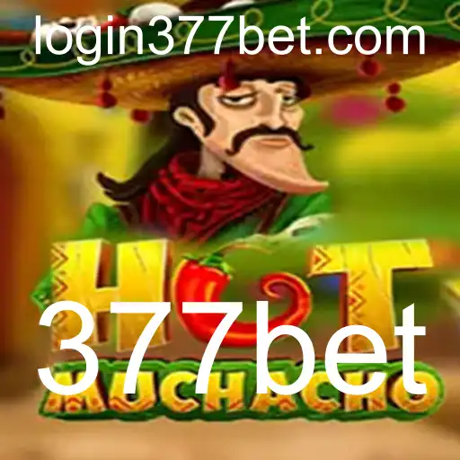 Descubra o Excitante Mundo de HotMuchacho no 377bet